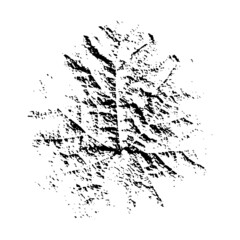 Imprint of a natural leaf of grass. Isolated botanical element. Suitable for design; pattern; postcard; print. Vector illustration.