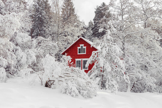 Red wooden house in winter snow fairy forest in Sweden. Beautiful house painted in traditional Swedish color. Winter scenery with red cottage surrounded by trees covered with snow and frost.