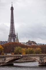 Fototapeta na wymiar Eiffel tower with autumn leafs, Paris, France.