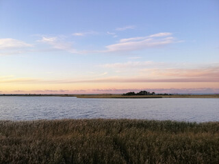 Landscape view of the grassland near the shore of Wyspa Sobieszewsk in Gdansk, Poland © Marianna Jaszczuk/Wirestock