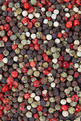 color peppercorns isolated on white background