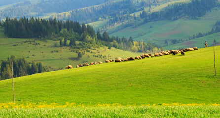 Spring morning rural landscape in the Carpathian mountains. Dramatic sky before dawn.