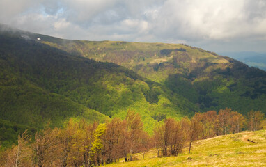 Fototapeta premium Spring morning bright landscape in the Carpathian mountains. Dramatic sky before dawn.