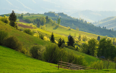 Spring gold evening rural landscape in the Mizhhiria, Carpathian mountains.