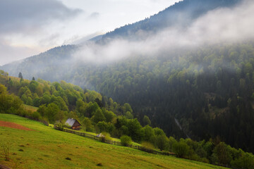 Spring morning rural landscape in the Carpathian mountains. Cloudy sky and mist over the forest.