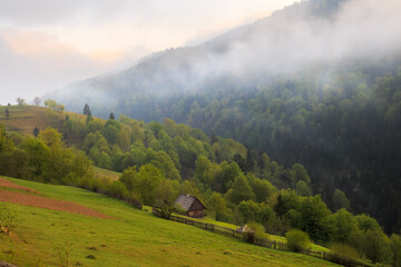 Spring cloudy morning rural landscape in the Mizhhiria, Carpathian mountains.