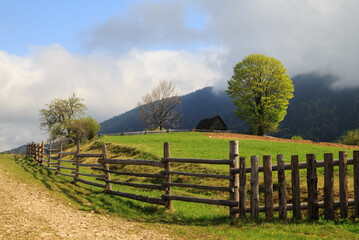 Spring morning landscape with the picturesque little farm in the Carpathian Mountains, Mizhhiria