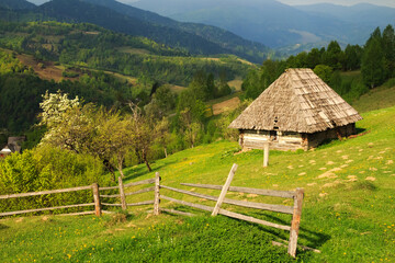 Plakat Spring morning landscape with the picturesque little farm in the Carpathian Mountains, Mizhhiria