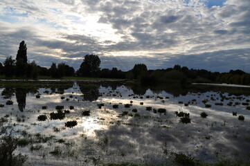 panorama of the city