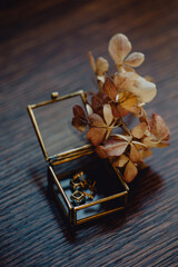 Boucles d'oreilles dans boîte en verre et laiton 