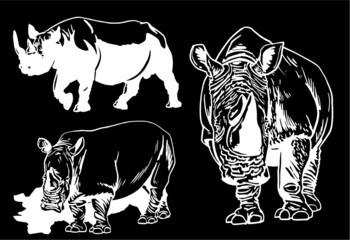 Vector set of rhinoceroses isolated on black background,  illustration