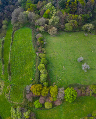 Springtime, Tarrueza, Laredo, Montaña Oriental Costera, Cantabria, Spain, Europe