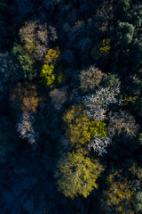 Springtime, Tarrueza, Laredo, Montaña Oriental Costera, Cantabria, Spain, Europe