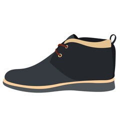 vector, isolated flat style mens boots
