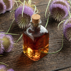 A bottle of wild teasel root tincture with fresh flowers on a table