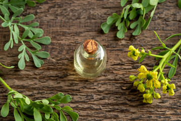 Essential oil bottle with blooming common rue, or Ruta graveolens plant