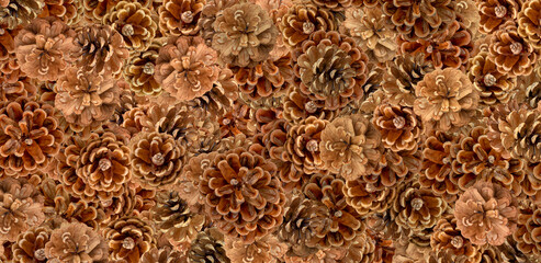 top viewe pine cones background