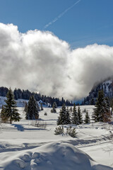 Fototapeta na wymiar Paysage de montagne enneigé par une journée ensoleillée d'hiver