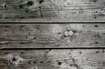 Obraz premium old wood texture, Wood texture plank grain background, wooden desk table or floor.