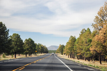 Very straight road going towards Grand Canyon National Park, with some clouds on the horizon and nice green trees on each side of the road.