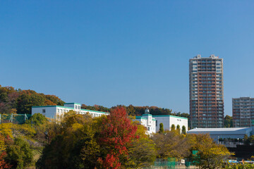 Fototapeta na wymiar 秋の紅葉と街風景