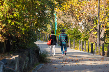 秋の公園で紅葉を見ているシニア夫婦の姿