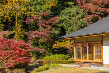 秋の公園の日本庭園の風景