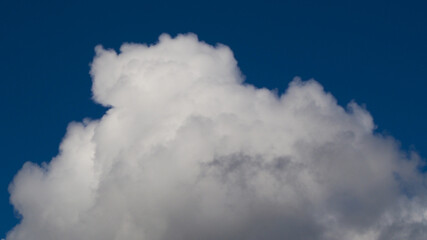 Fototapeta na wymiar Sommet glacé d'un cumulus à faible extension verticale