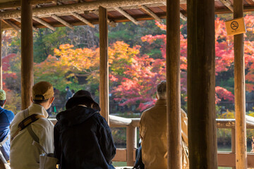 秋の公園の休憩場で紅葉を鑑賞している人々