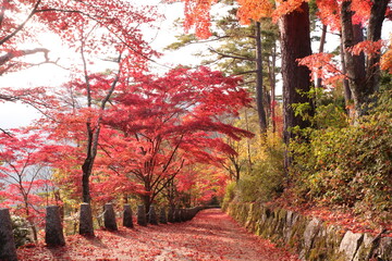 奈良県　吉野山の紅葉