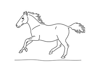 Young pony playing on the freedom vector art