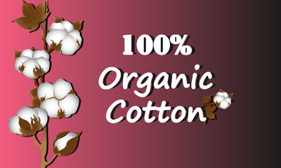 Vector illustration cotton flowers on pink background with lettering, cotton branch, Organic
Cotton