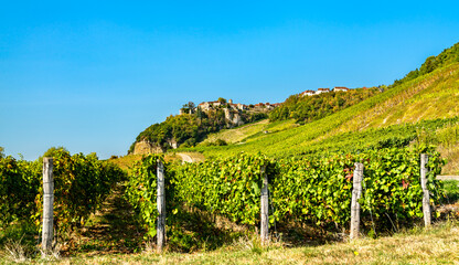 Fototapeta na wymiar Chateau-Chalon village above its vineyards in Franche-Comte, France