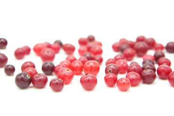 Ripe organic cranberry isolated on white background. Сopy space on a white background.