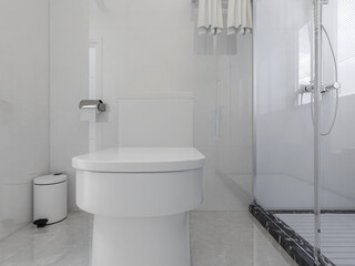 Naklejka na ściany i meble Clean modern residential bathroom and toilet design, which is equipped with washstand, toilet and shower equipment