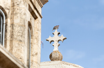 Obraz premium A dove sits on a stone cross on the roof of the Church of the Condemnation on the Via Dolorosa Street in the old city of Jerusalem in Israel