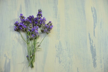 Fototapeta premium bunch of lavender