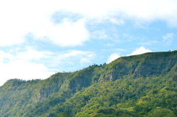 Obraz premium The mountain landscape .Natural background forest outdoor 