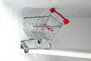 Empty grocery basket in refrigerator. Low living hunger and food shortage concept.