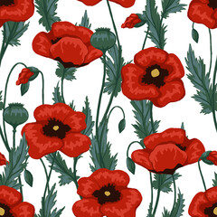 Obraz premium Poppy plants seamless pattern. Hand drawn vector floral illustration. Abstract botanical background. Wildflowers colored sketches. Vintage design for print, fabric, textile, wrapping, wallpaper, decor