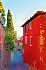Fototapety na wymiar - Fototapeta24.pl