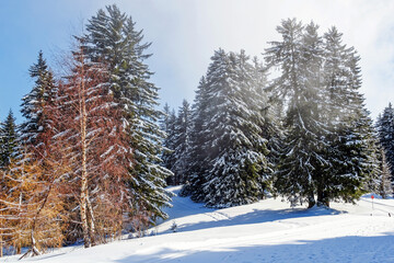 Paysage de montagne enneigé par une journée ensoleillée d'hiver