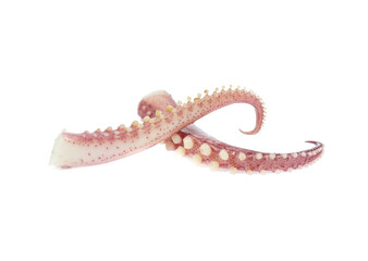tentacles of octopus isolated on white background © Poramet