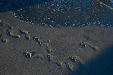 Footsteps in the sand on the beach, sandy beach, sea waves.