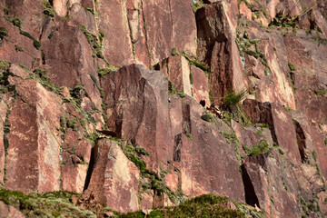 Red volcanic rock rhyolite - Swierzawa, Kaczawskie Mountains, Lower Silesia Poland