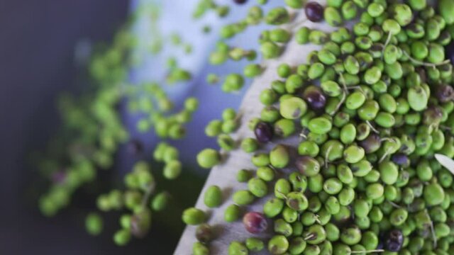 Olive in ultra slow motion