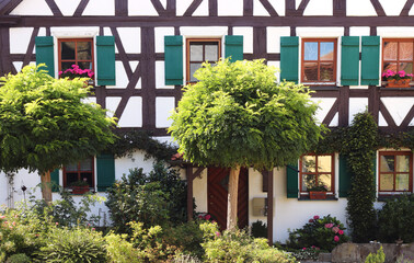 Fototapeta na wymiar beautiful half timbered house with green trees, potted plants and a climber
