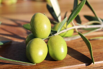 Branche avec olives sur fond bois