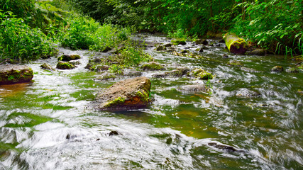 Naklejka na ściany i meble Błędzianka River under the Viaducts in Stańczyki. Flowing stream with rocks.