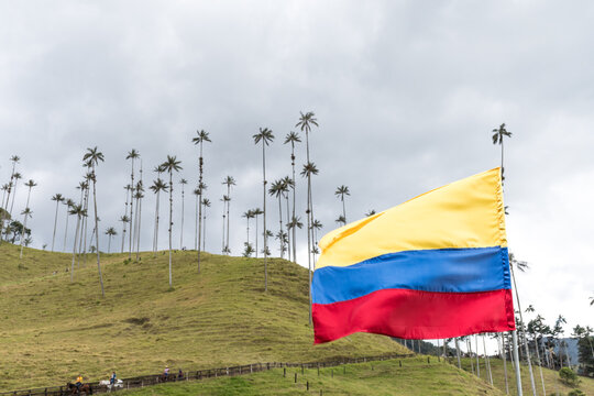Bandera de Colombia, tradición, cultura. Valle de Cocora, Salento, Quindío